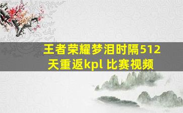 王者荣耀梦泪时隔512天重返kpl 比赛视频